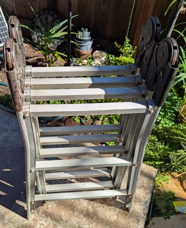 Folding Ladder