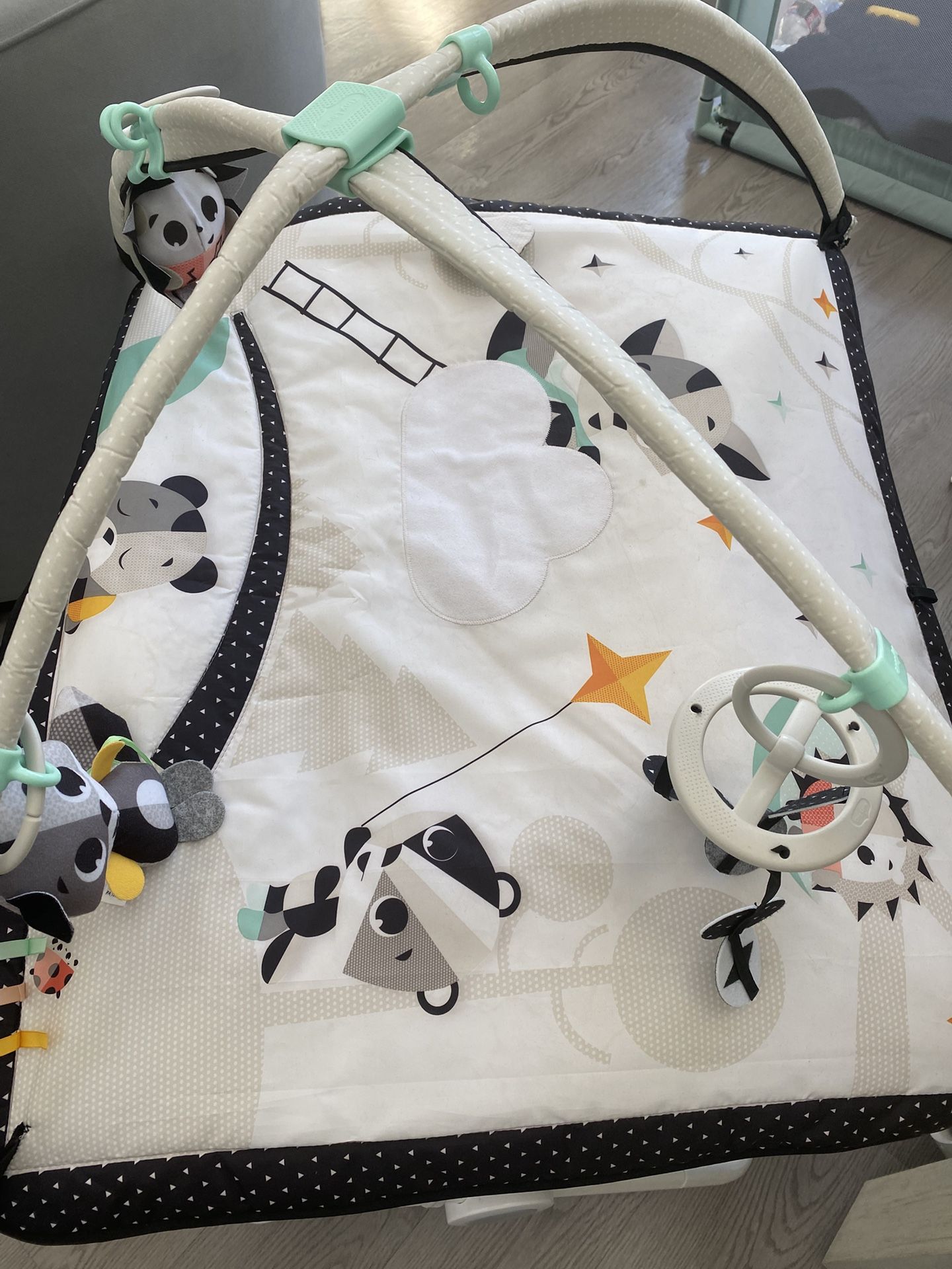 Baby Play Mat