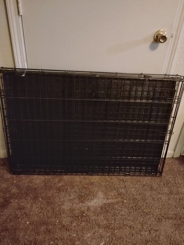 Dog Cage 