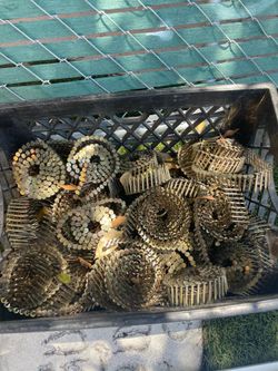 Galvanized Roofing Nails