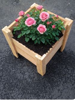 Time To Grow Your Own Food CEDAR Garden Bed 14" L x 14"W x 12" Deep
