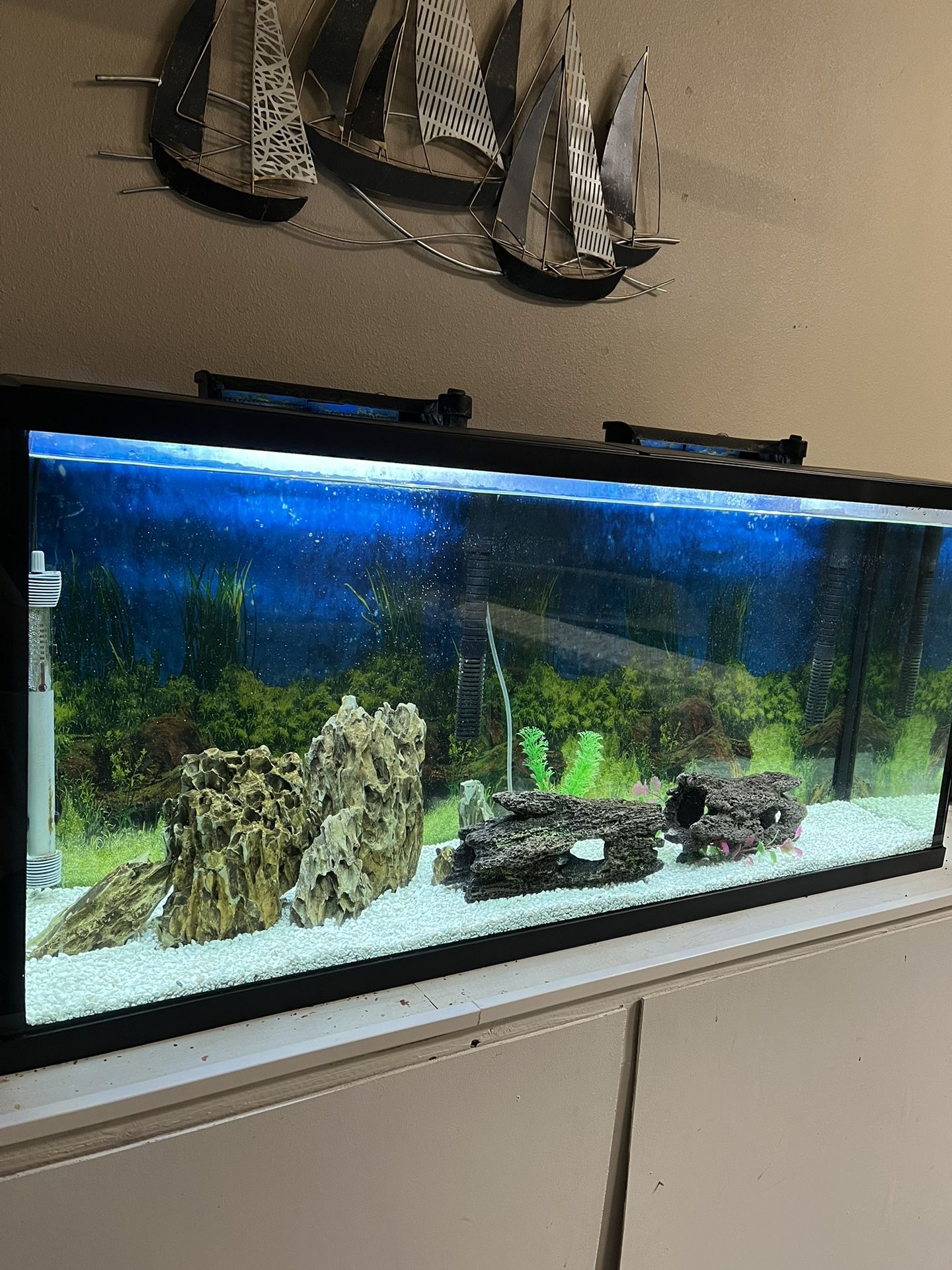 55 Gallon Fish Tank/Aquarium 