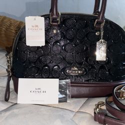 Brand New Coach Bag!