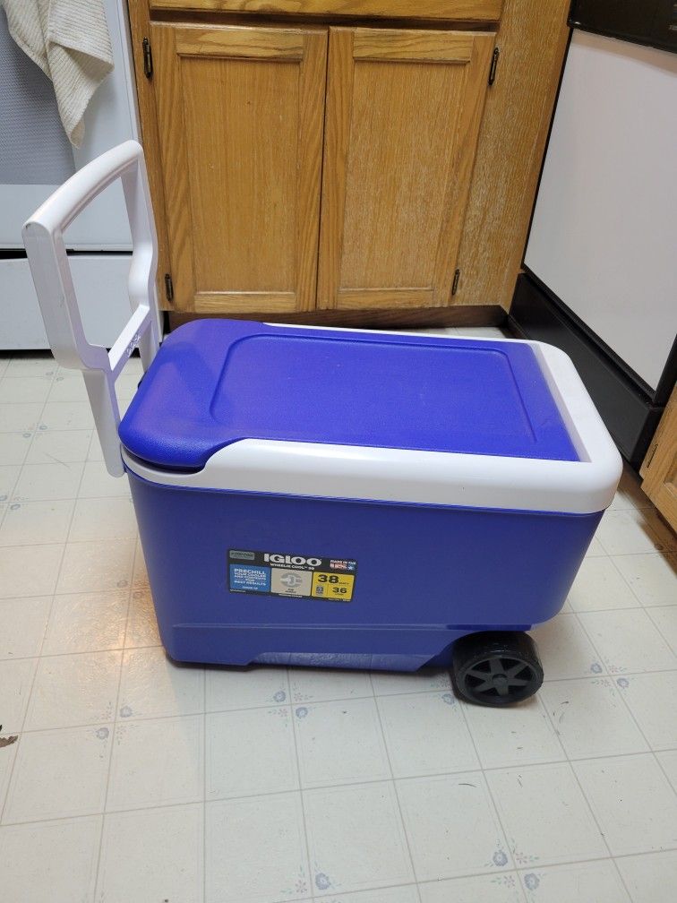 Igloo Cooler 38qt