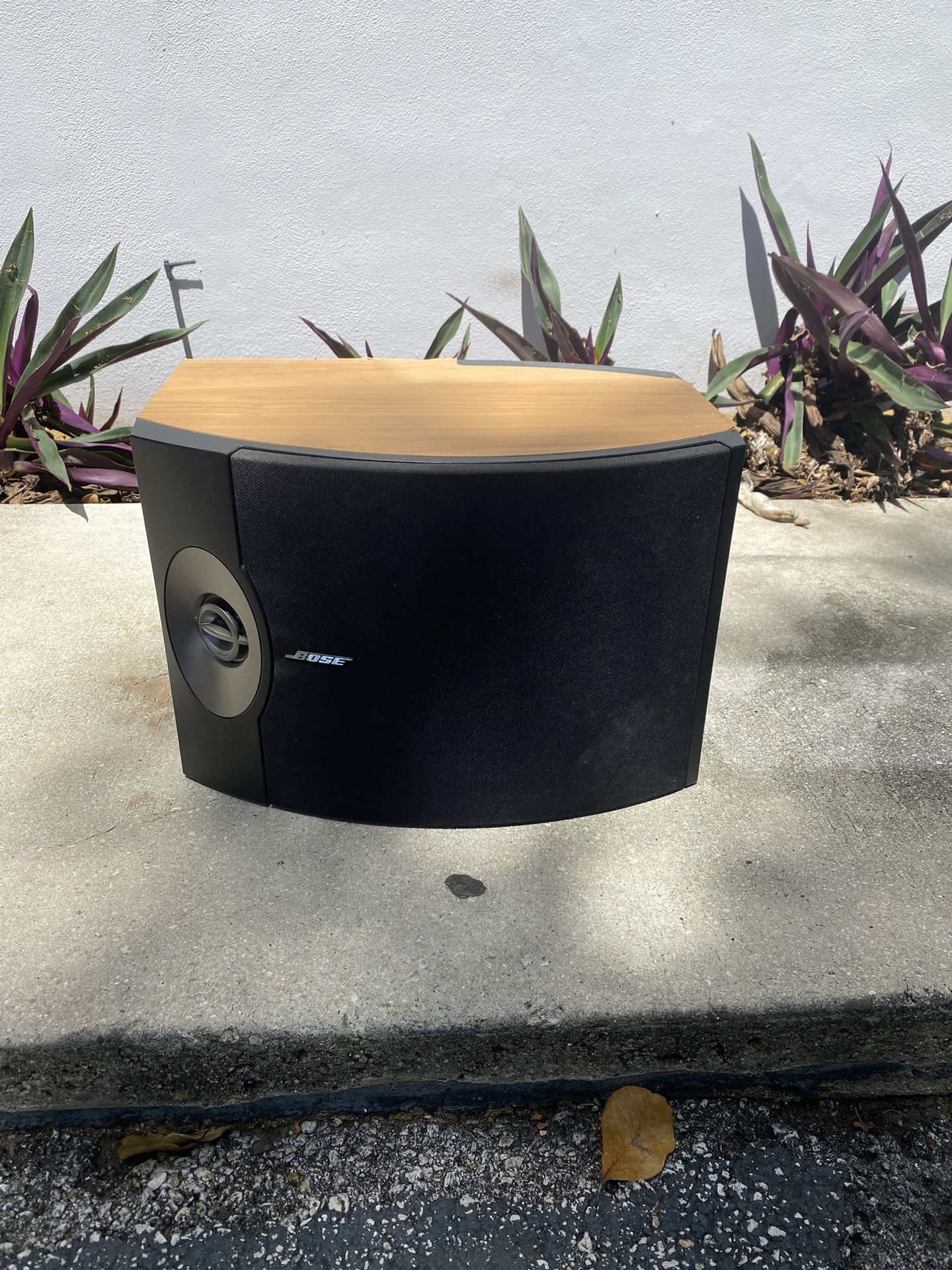 Bose 301 V Speakers