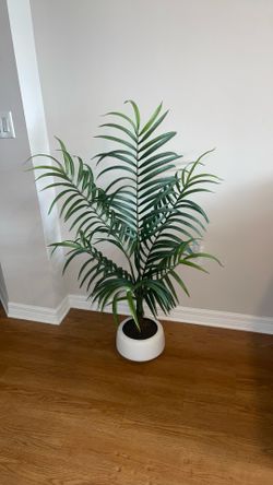 Faux Palm Plant
