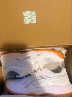 Asics Court Shoes