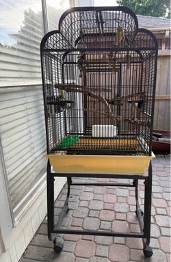 Bird house