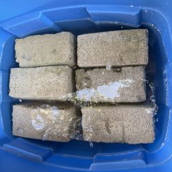 Fish Tank Marine Pure Bio Blocks 