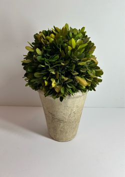 Artificial boxwood plant