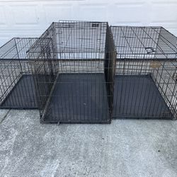 3 Dog Crates For Sale