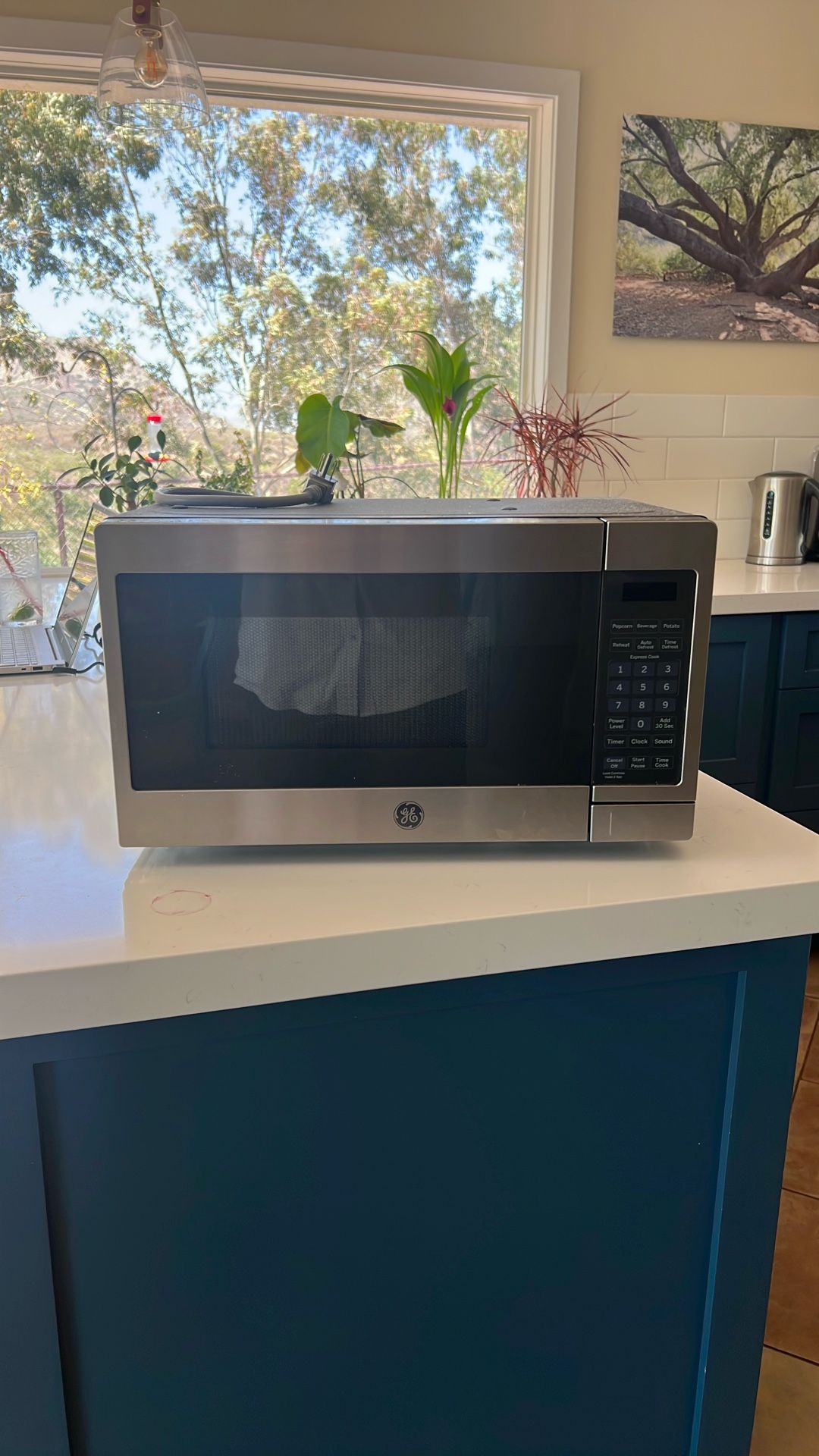 Free microwave