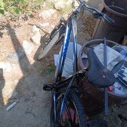 Mountain Bike "Giant " 3 