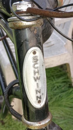 Schwinn 