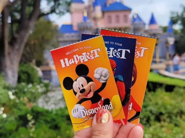 2 Disneyland Park Hopper Tickets With Lightning Lane Passes