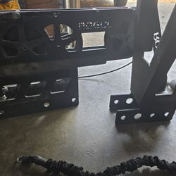 Rogue Monster LITE Plate Loaded Slinger