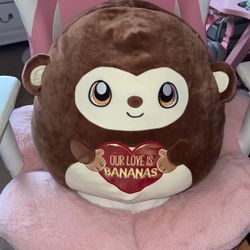 Squishmallow 