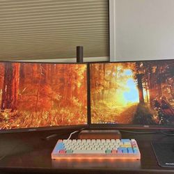 2 24 Inch 144hz Monitors and VESA Stand