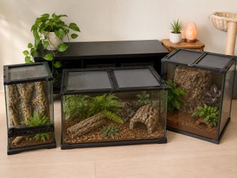 Reptile tanks (small medium large & xl)