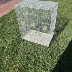 Bird Cage 