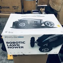 Robotic Lawn Mower 