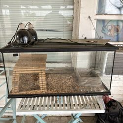 Fish Tank 