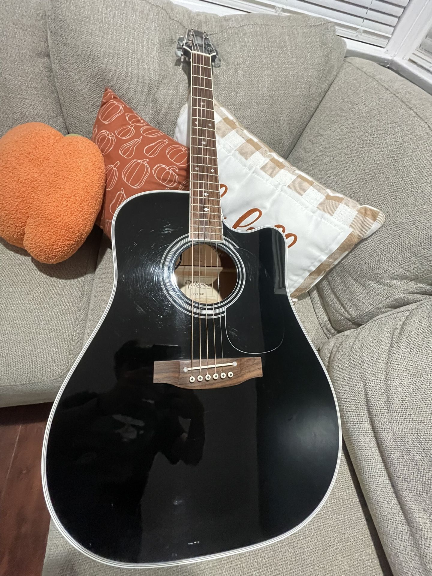 Takamine Guitar