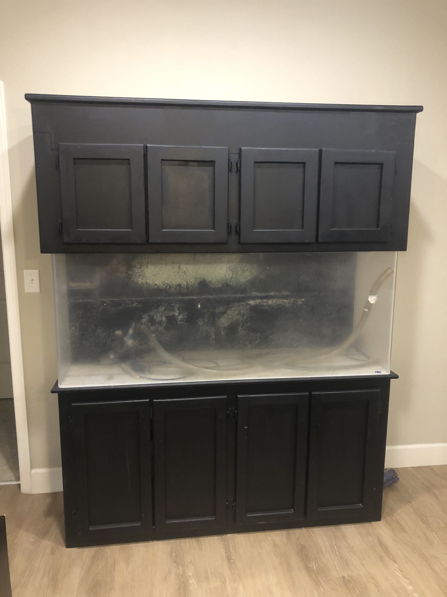 Fish Tank 100gal With Custom Cabinet, Filter And Accessories