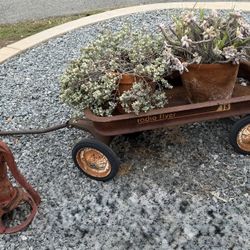 Plant & Planter Bundle - Succulents, Macrame, Rustic Decor!