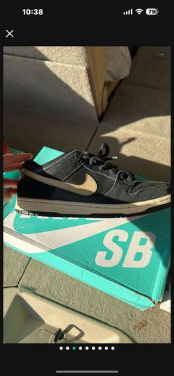 Nike SB Dunk Low Pro