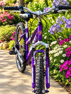 Schwinn Purple Mountain Bike -26” tires/21 speed
