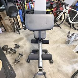 Bench weights legs curls