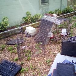 Oh Dog Cages For $10