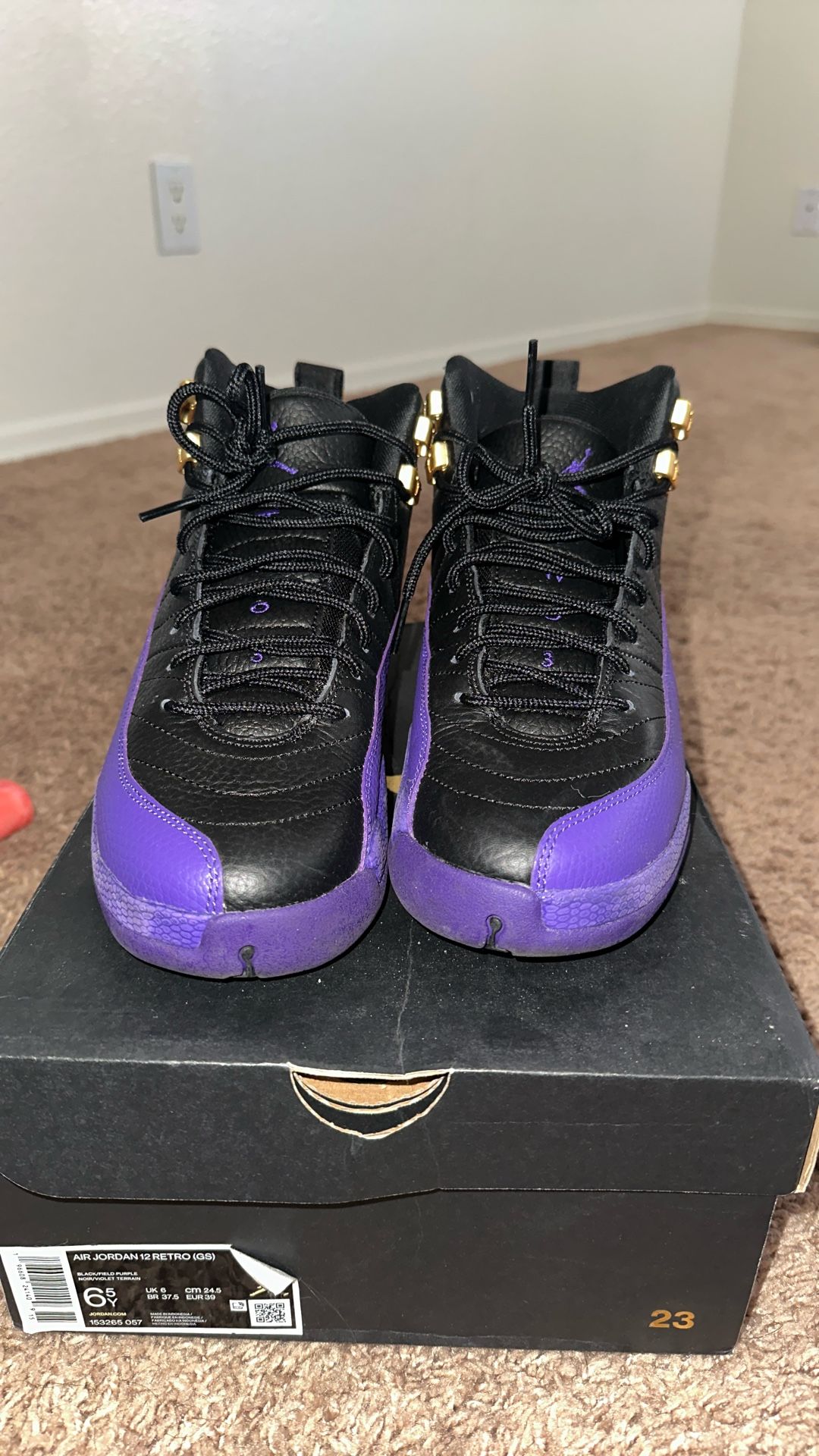 jordan 12 