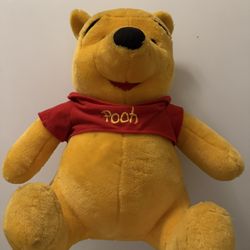 Winnie The Pooh Plushie