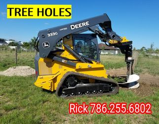 Tree Holes