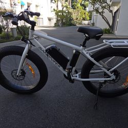 Electric Bike