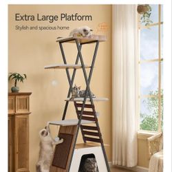 Cat Tower