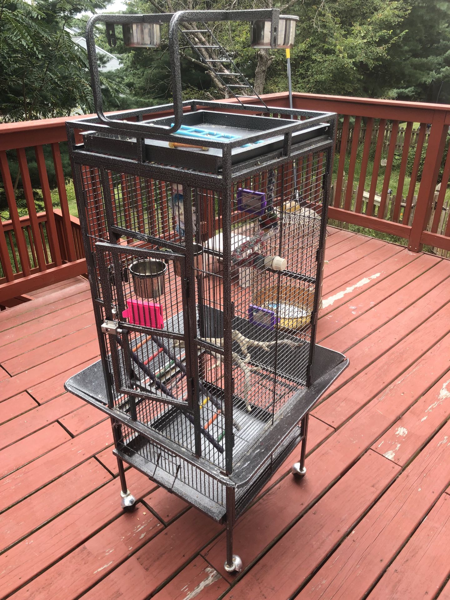 Bird cage 120 $