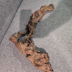 Decoration Woow For Fish Tank. 