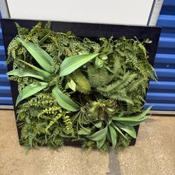 Plants Wall Decor