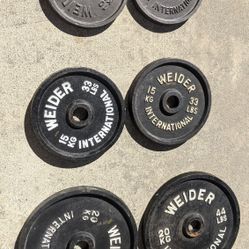 Weider 22 Lbs 33 Lbs 44 Lbs 2 Inch Iron Weight Plates