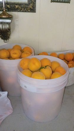Durazno  amarillos