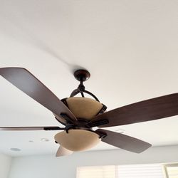 56” Fan With Dual Lights