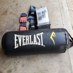 Everlast Punching Bag W/ Gloves 