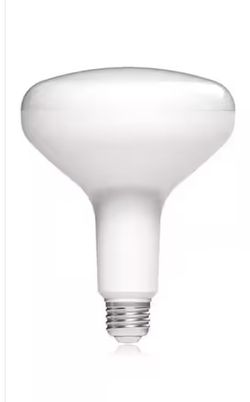 75-Watt Equivalent BR40 Dimmable Energy Star LED Flood Light Soft White