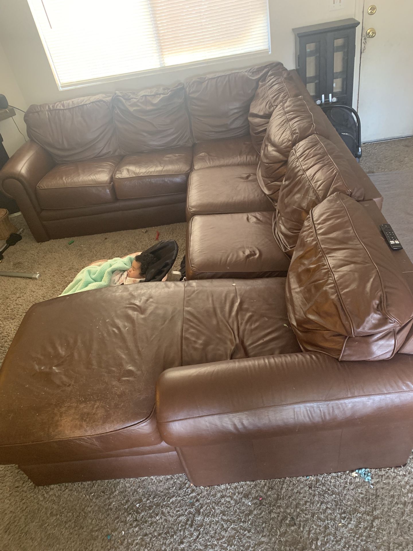 Free Sectional Couch