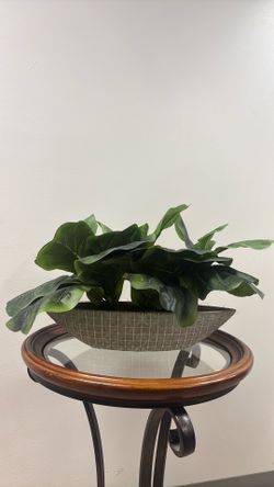 Fake plant 🪴 table center piece