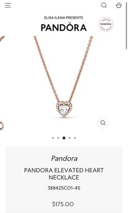 Pandora Necklace