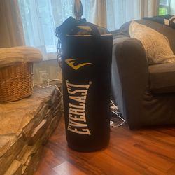 Everlast Heavy Bag